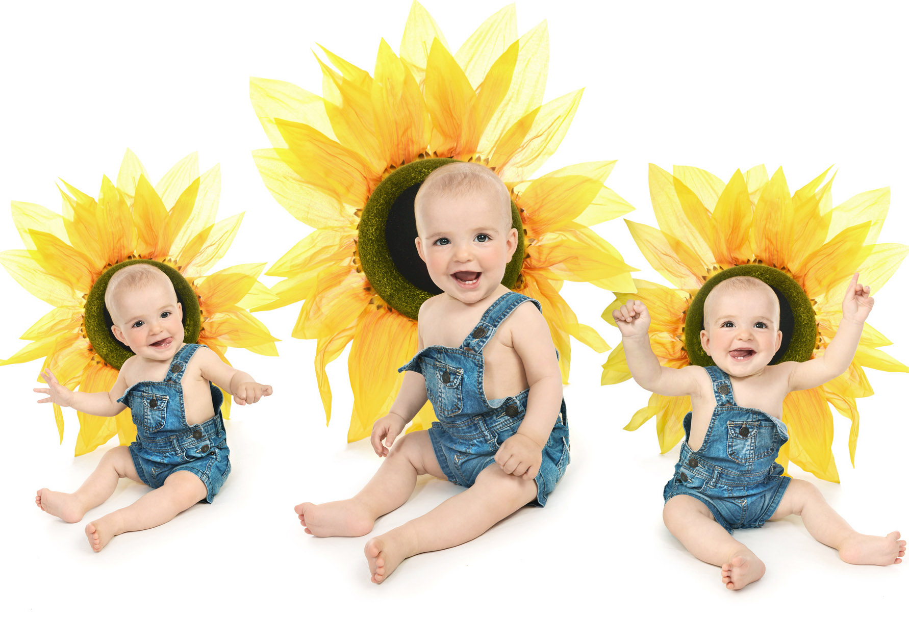 Girasoles-fotos-bebes-malaga