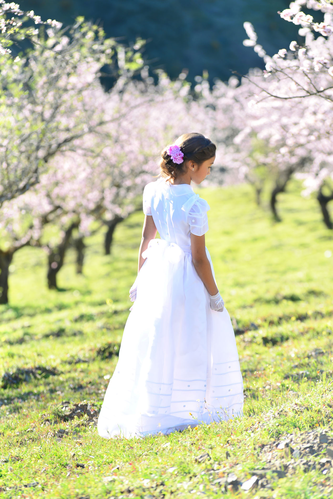 reportajes comunion almendros