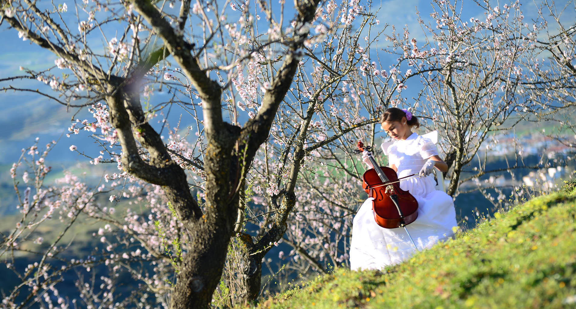 reportajes comunion con violin