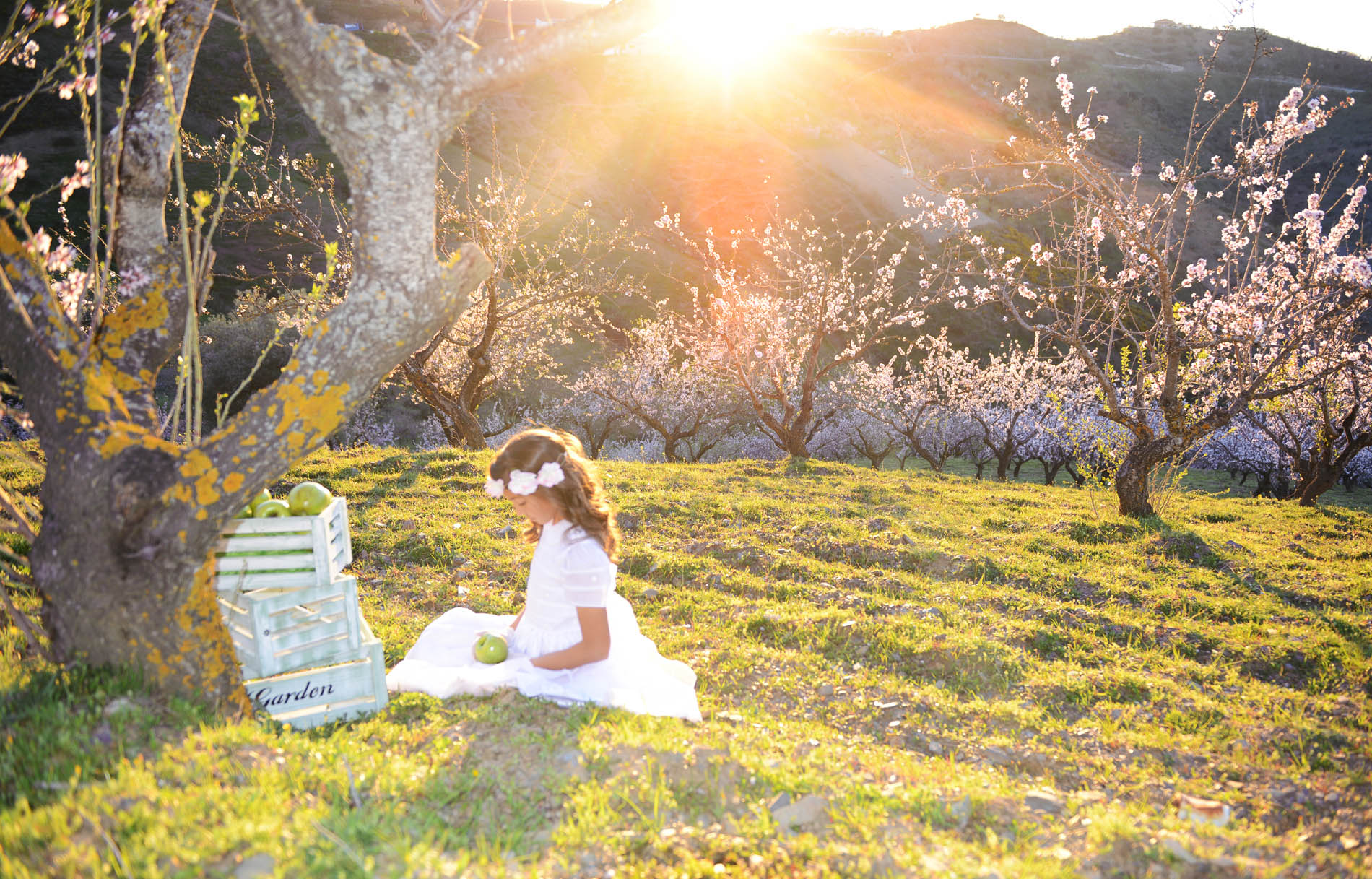 reportajes de comunion en malaga